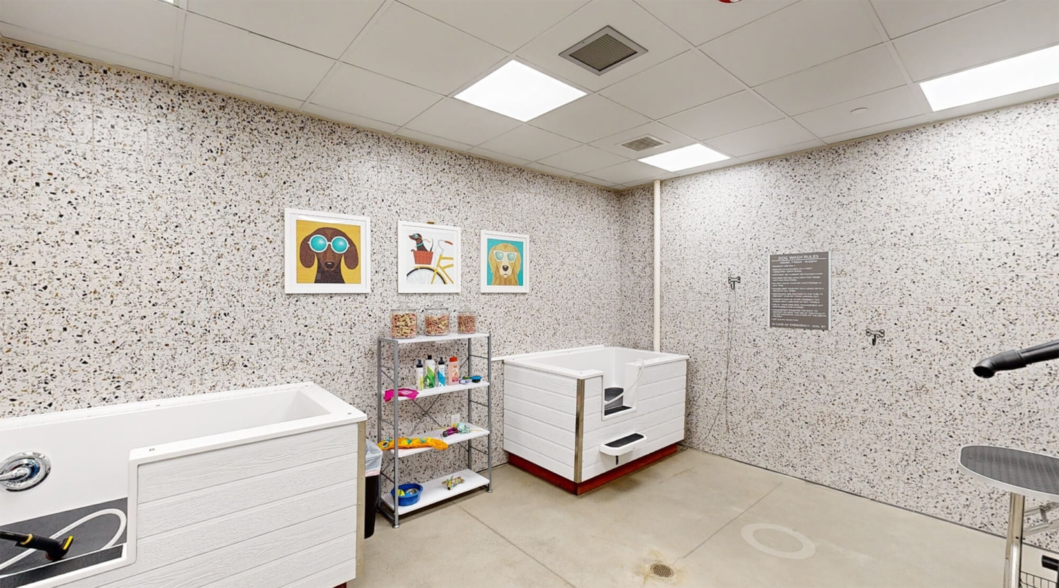 encoremidcity dog wash